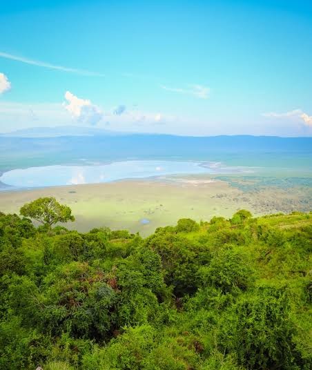 Ngorongoro Crater floor viewed from the rim at sunrise