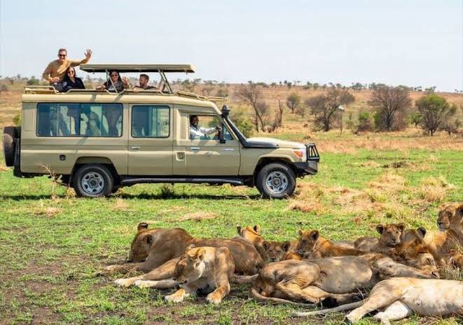 Custom safari Land Cruiser with pop-up roof